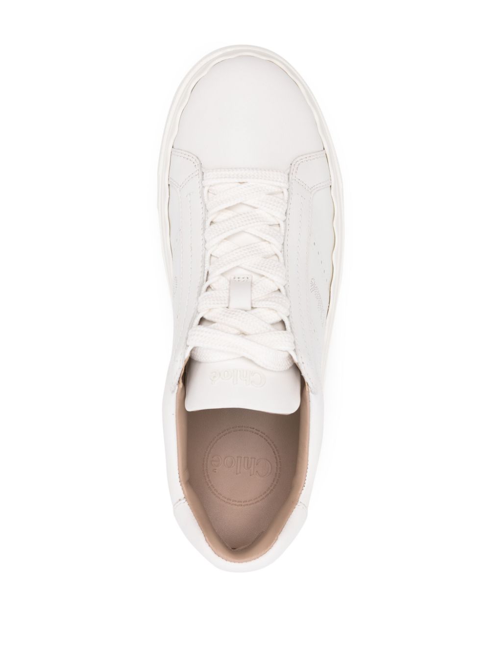 Chloè Chloé Lauren sneakers